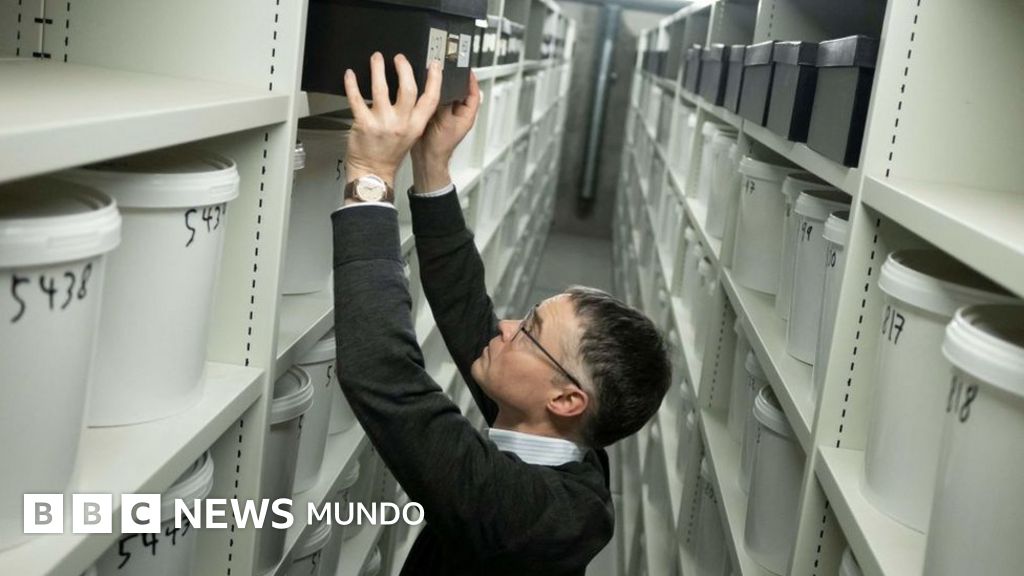 Por qué Dinamarca tiene casi 10.000 cerebros almacenados (y la controversia que genera)