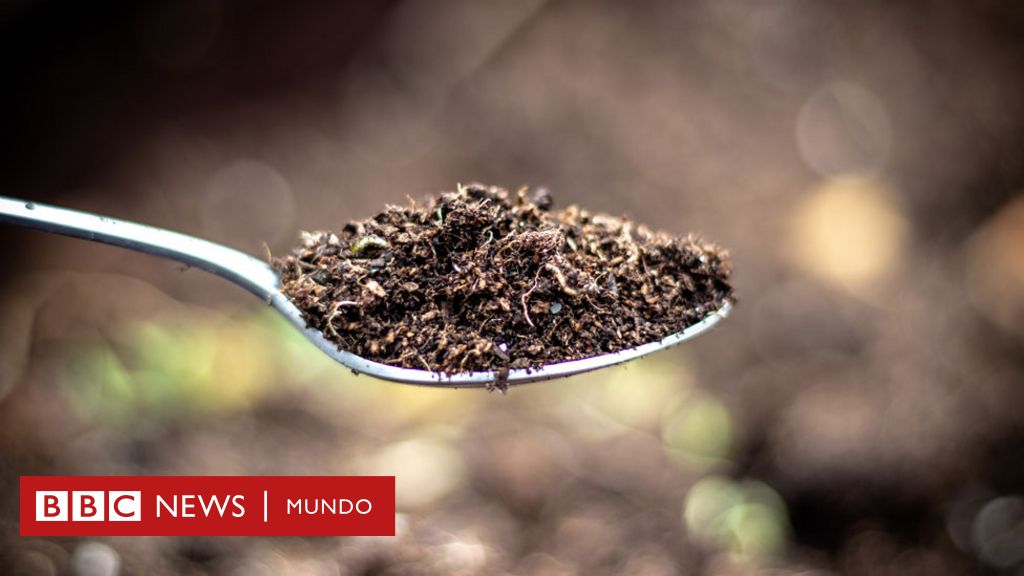 Qué es la pica: el trastorno que hace que algunas personas tengan un  antojo irresistible por comer tierra, tiza o hielo - BBC News Mundo