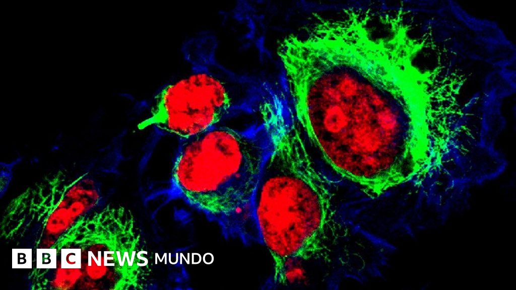 un virus puede vivir fuera de una celula