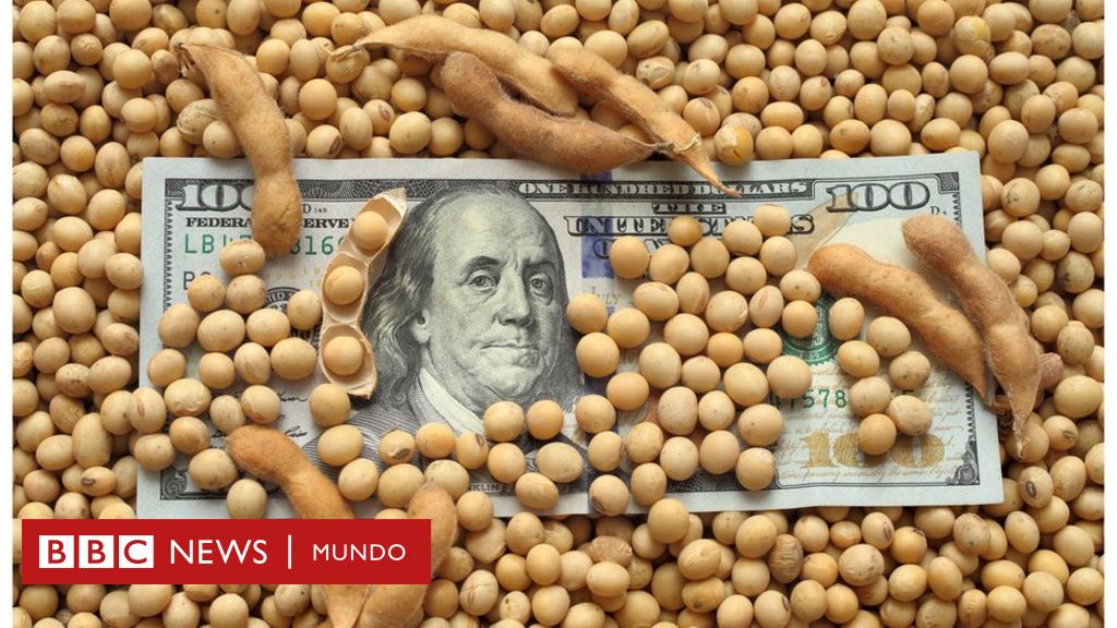 Qué es el nuevo "dólar soja" y por qué podría ser clave para la economía de Argentina