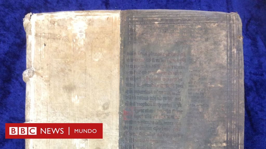 El enigma de los libros venenosos hallados en la biblioteca de una  universidad de Dinamarca - BBC News Mundo