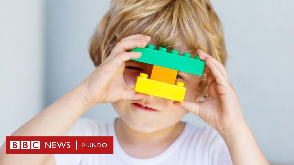 Gato de salto pureza Proporcional 5 juguetes para enseñar ingeniería a los niños (más allá de Lego) - BBC  News Mundo