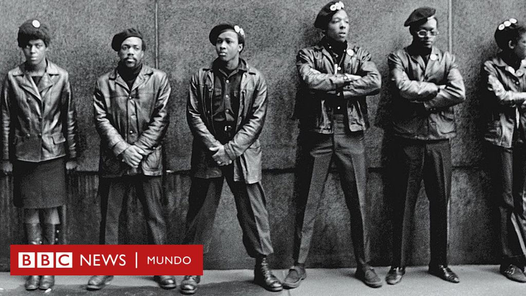 Así La Pantera Rosa apareció por primera vez hace 50 años - Grupo