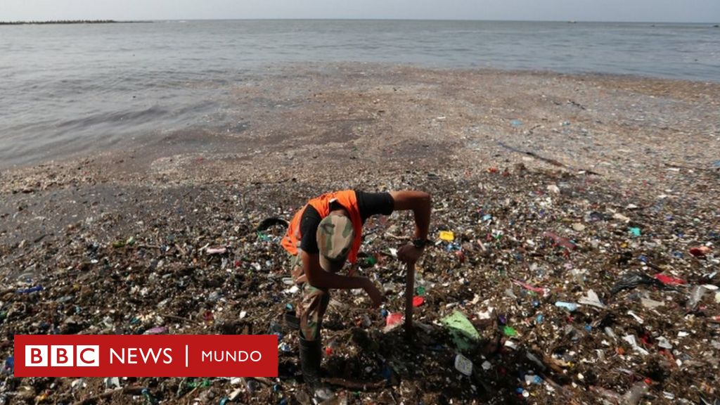 Petition update · La BBC de Londres se hace eco del desastre · Change ...