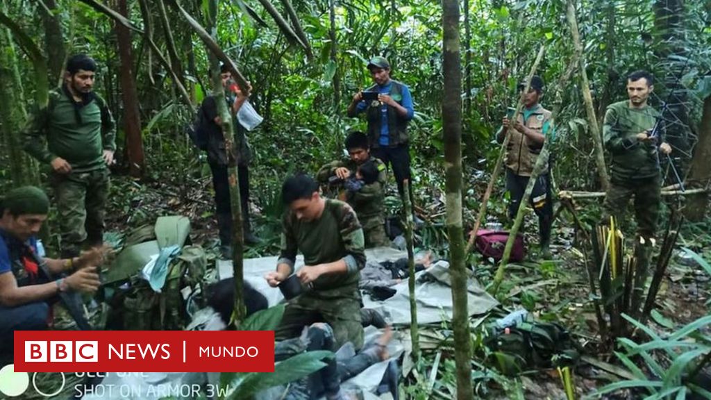 “La selva no era la amenaza, la selva los salvó”: ¿cómo pudieron sobrevivir los 4 niños que pasaron 40 días en la Amazonía colombiana?