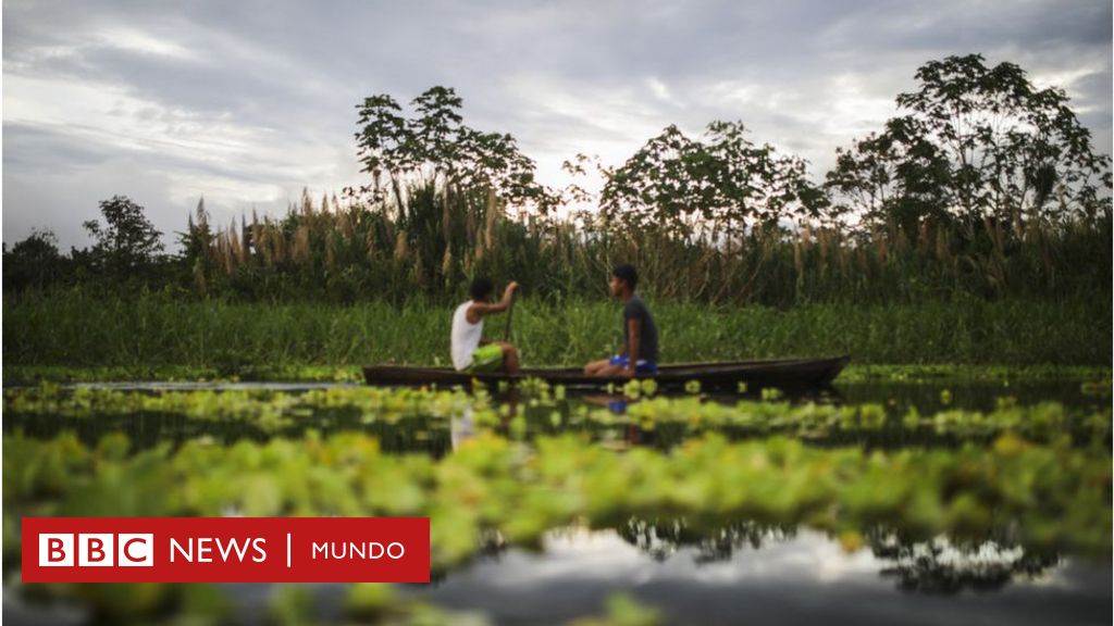 Cómo es la densa selva en la Amazonía donde los niños indígenas de Colombia estuvieron perdidos 40 días