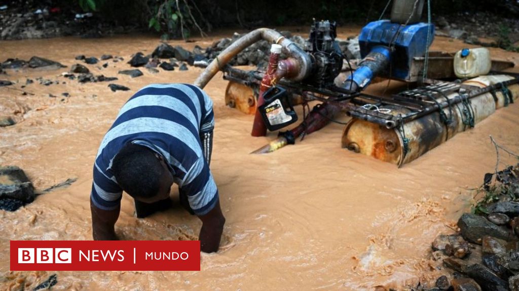 Medio ambiente: “Dragones brasileños”, las máquinas que impulsaron el "peor desastre ambiental” de una región de Colombia