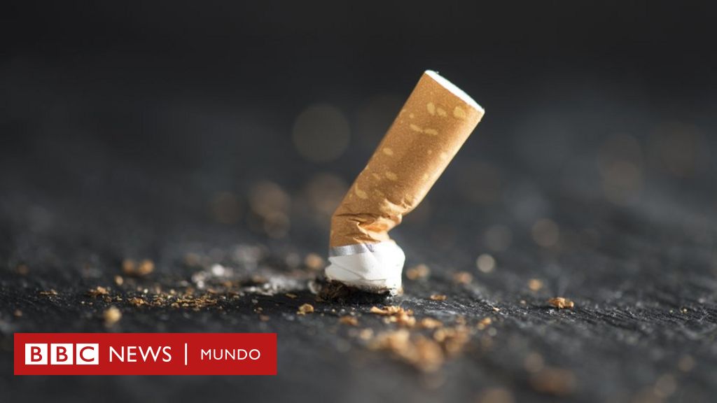 El tabaco de liar, el mejor antídoto contra la crisis - La Opinión de Málaga
