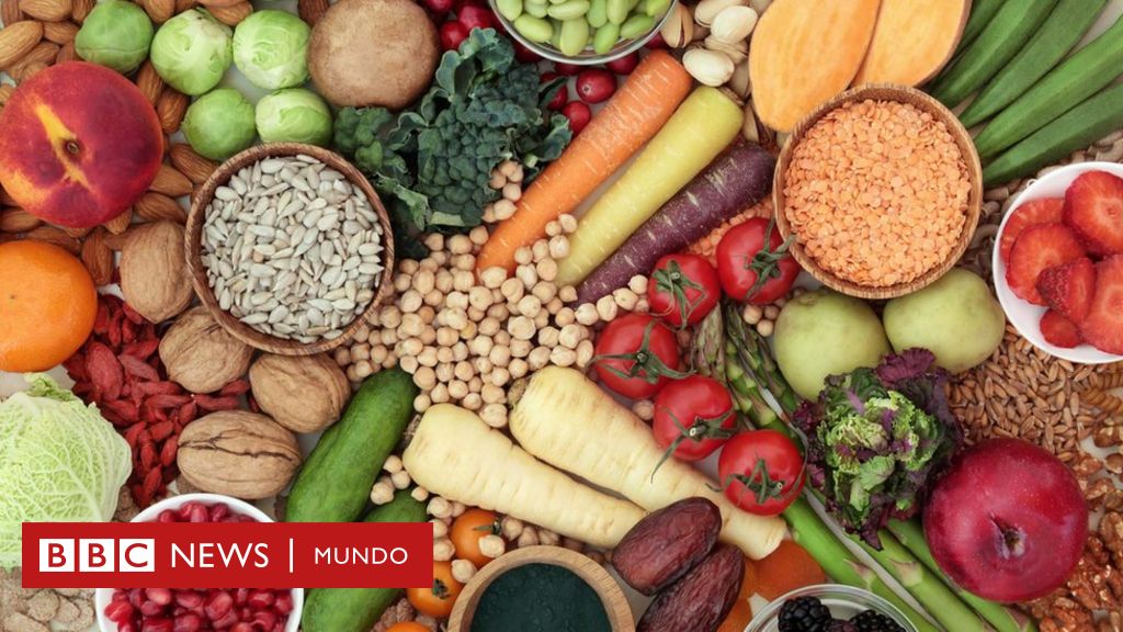 foro dieta 5 2 dietas