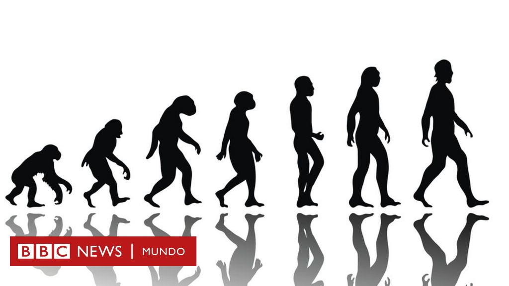 Cómo Evolucionaremos Los Humanos En Los Próximos 200 Años La