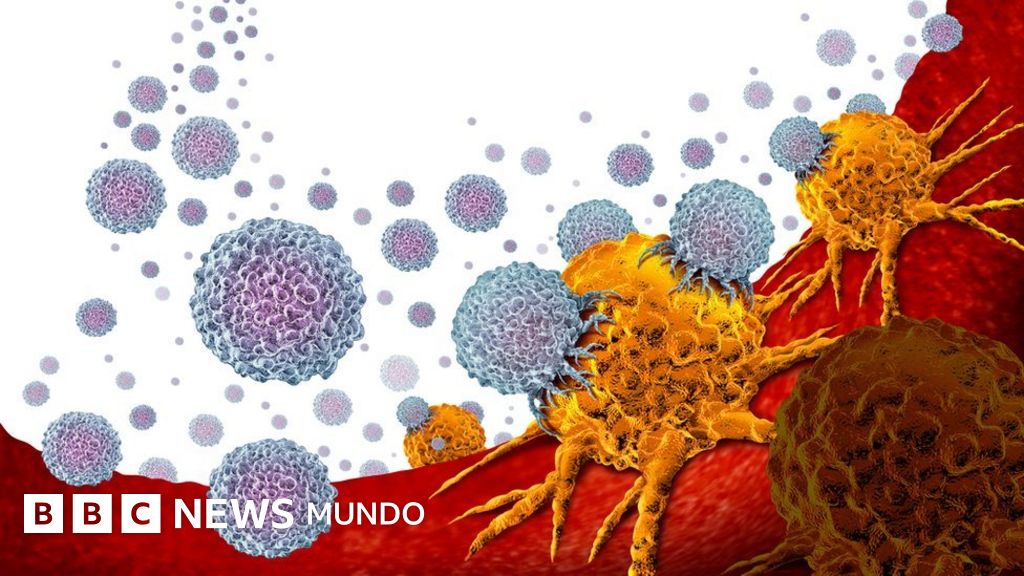 como podemos prevenir o cancer de prostata