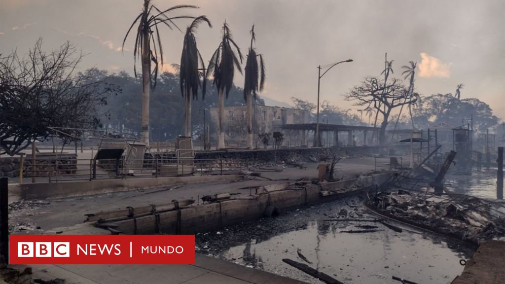 "Es como el Apocalipsis": las impresionantes imágenes de los incendios que han dejado al menos 90 muertos en Hawái