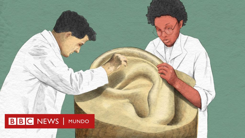 Qué puede revelar el cerumen sobre tu salud