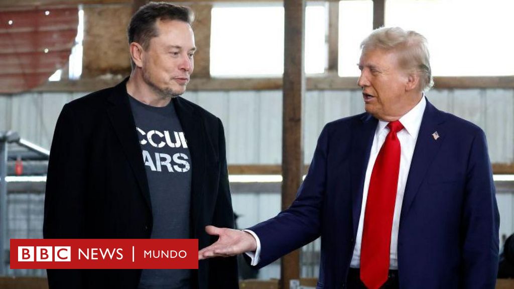 Trump and Musk: US President-elect replaces Tesla founder as head of new Department of Government Efficiency