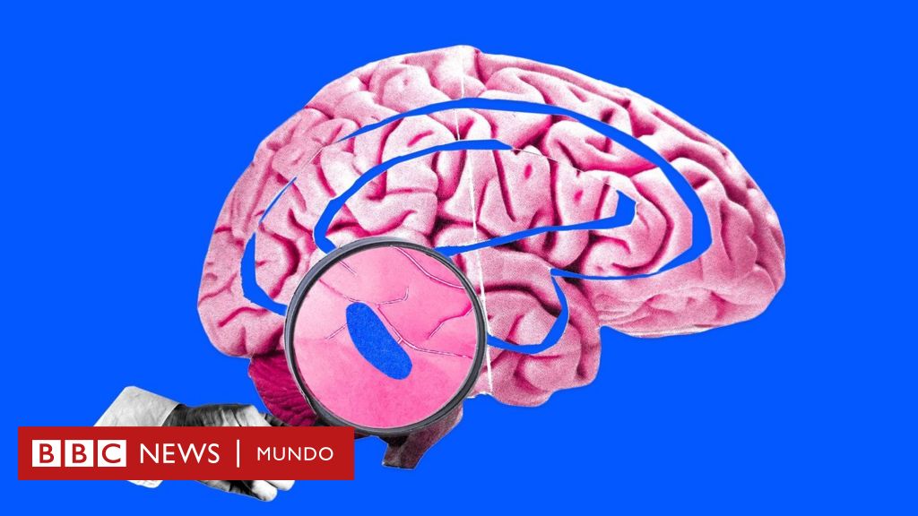 Cómo un pequeño "punto azul" en nuestro cerebro controla el sueño y genera un enorme interés entre los científicos