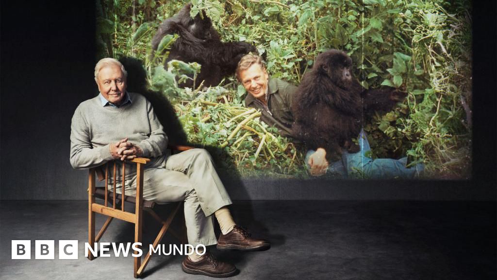 David Attenborough cumple 100 años: cómo se hizo 