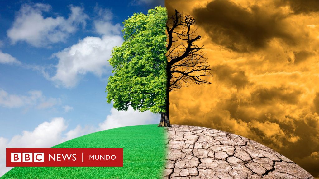 Cambio Climático 5 Afirmaciones Falsas Sobre El Calentamiento Global Desmontadas Por La Ciencia 7088