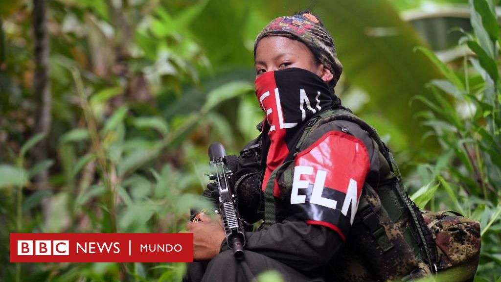 "El ELN es hoy un ejército binacional y un instrumento clarísimo de Venezuela para influir en Colombia"