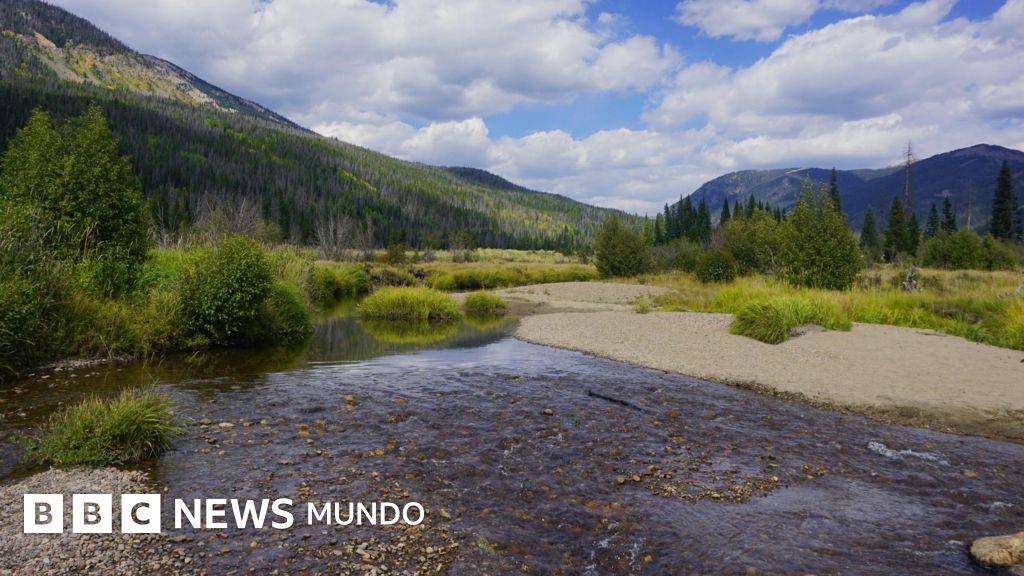 La familia que quiso vivir lejos de la civilización y terminó muriendo en las Montañas Rocosas de Colorado