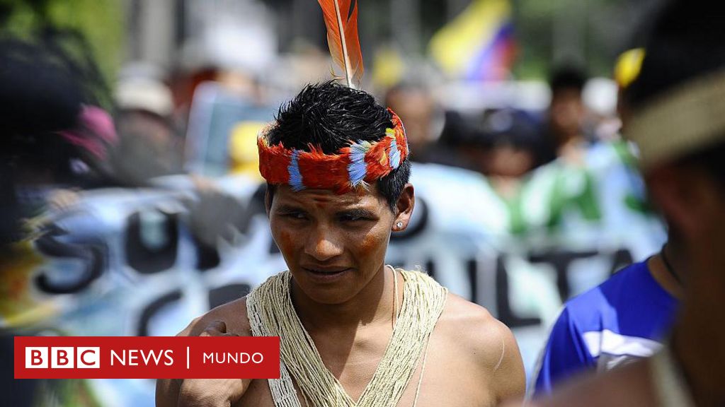 Ecuador vota a favor de detener la explotación petrolera en una de las zonas de mayor biodiversidad del planeta
