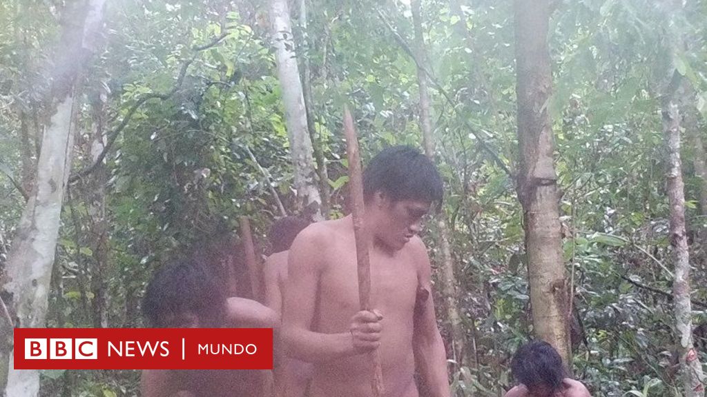 Descubrimiento visual de un pueblo indígena no contactado en Brasil