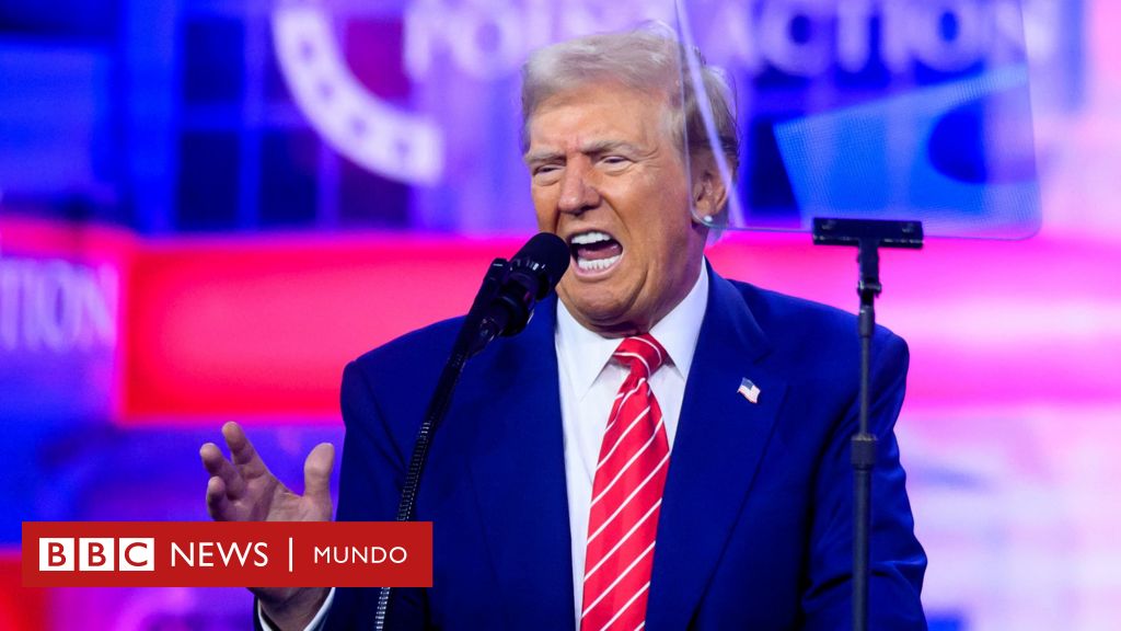 Cuáles son los contrapesos que tendrá el poder casi absoluto de Trump en la Casa Blanca