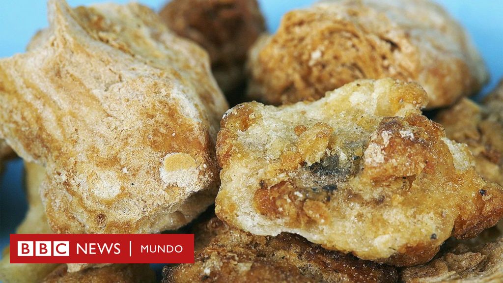 El maná, el "superalimento" milenario que un agricultor intenta revivir en Sicilia
