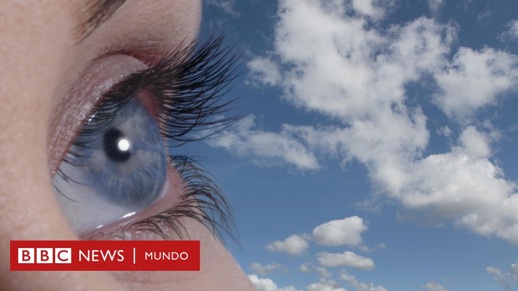 Ojos azules, verdes o marrones: ¿de qué depende el color?