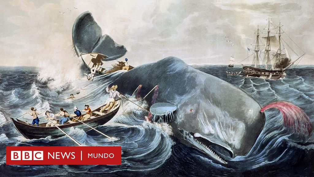 Moby Dick y la verdad sobre la historia que inspiró la aclamada novela de Herman Melville