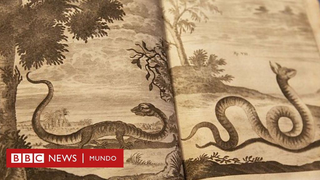 Cuernos de unicornio y dragones en los Alpes: las extravagantes investigaciones de la academia científica más antigua del mundo