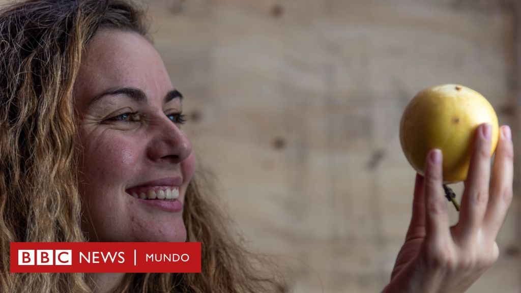 5 frutas que te aportan un contenido sorprendentemente alto de proteínas