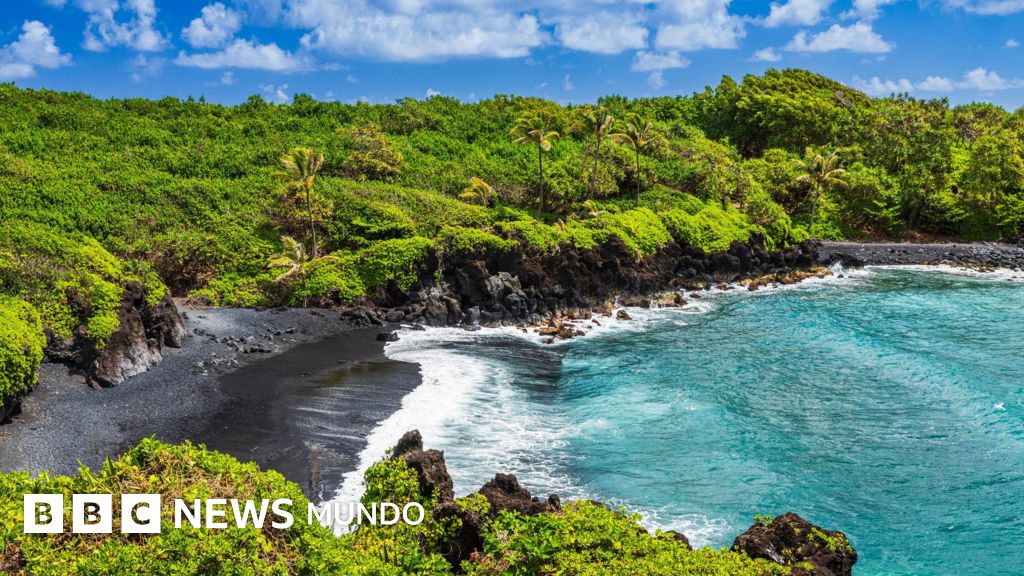 Las tarifas verdes en turismo: ¿pagar más para preservar nuestro planeta?