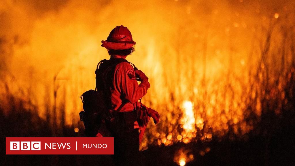 La desesperada carrera por salvar décadas de datos sobre el cambio climático y el clima extremo que están siendo borrados por el gobierno de Trump