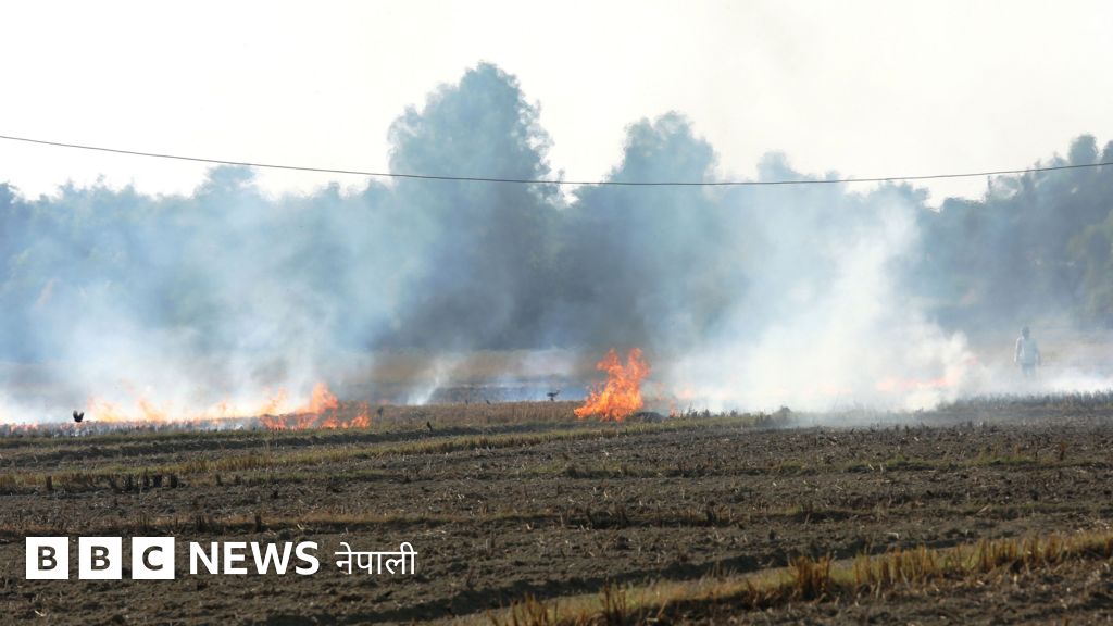 काठमाण्डूको वायु प्रदूषण अस्वस्थकर तहमा, ध्यान पुर्‍याउनुपर्ने विषय यस्ता छन्
