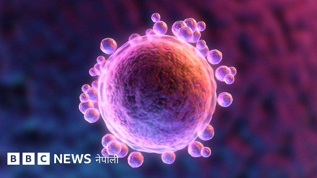 डिम्ब निष्काशन तथा भण्डारणमा सर्वोच्च अदालतको अङ्कुश, 'स्पष्टता' खोज्दै सरकार