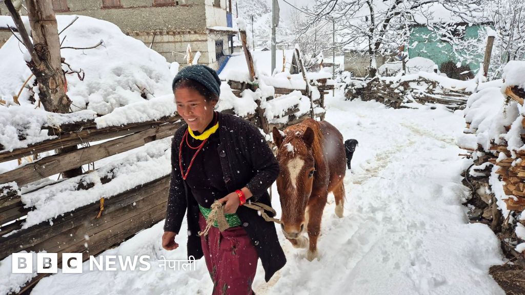 नेपाल निर्वाचन २०८२ः मौसमी कारणले हिमाली भेगमा चुनाव सर्ने सम्भावना कति
