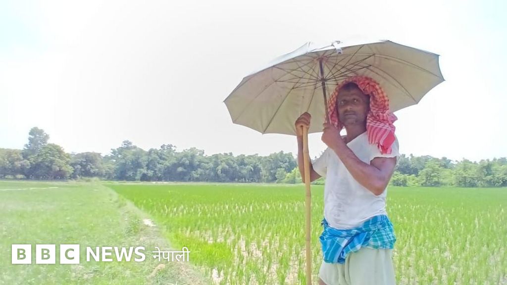 मधेशको खडेरी 'ठूलो सङ्कटको सानो सङ्केत', समाधानका लागि 'क्लाउड सीडिङ'सम्मको चर्चा