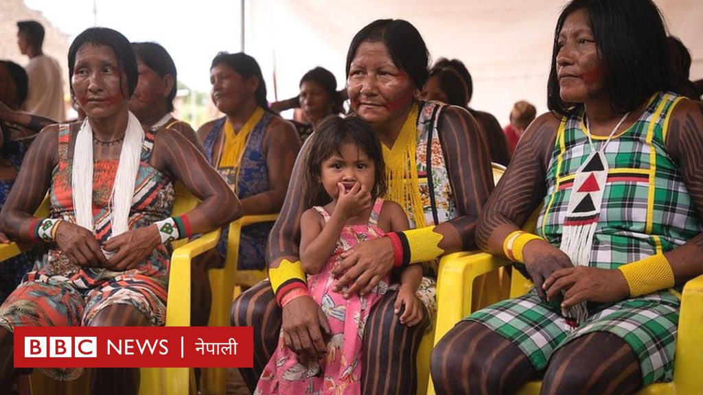 कोरोना भाइरस: ब्रजिलका आदिवासी समुदाय नै ‘सखाप हुन सक्ने’ चिन्ता - BBC ...