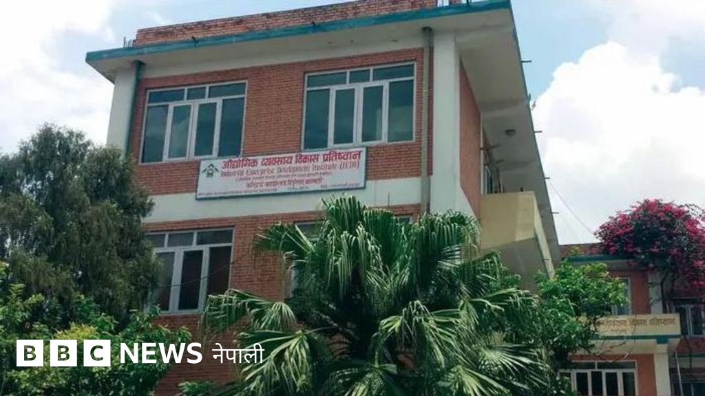 रु २० लाखसम्म बिनाधितो उद्यम कर्जा : कसले र कसरी पाउन सक्छ - www.bbc.com