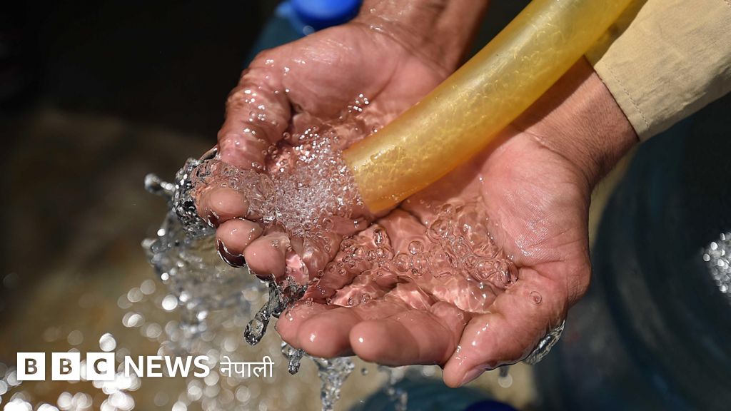 हैजा: ललितपुर र धनगढीमा नौ जनामा पुष्टि भएको यो सङ्क्रमण के चिन्ताजनक रूपमा देखा परेको हो