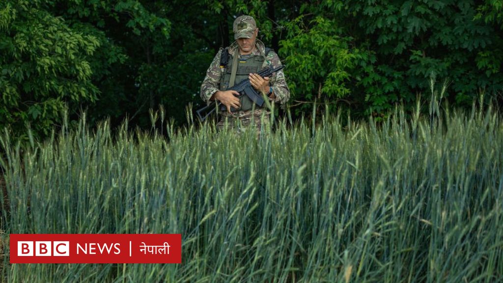 युक्रेन युद्ध: रुसले युक्रेनी किसानबाट चोरेको अन्न कहाँ लैजान्छ