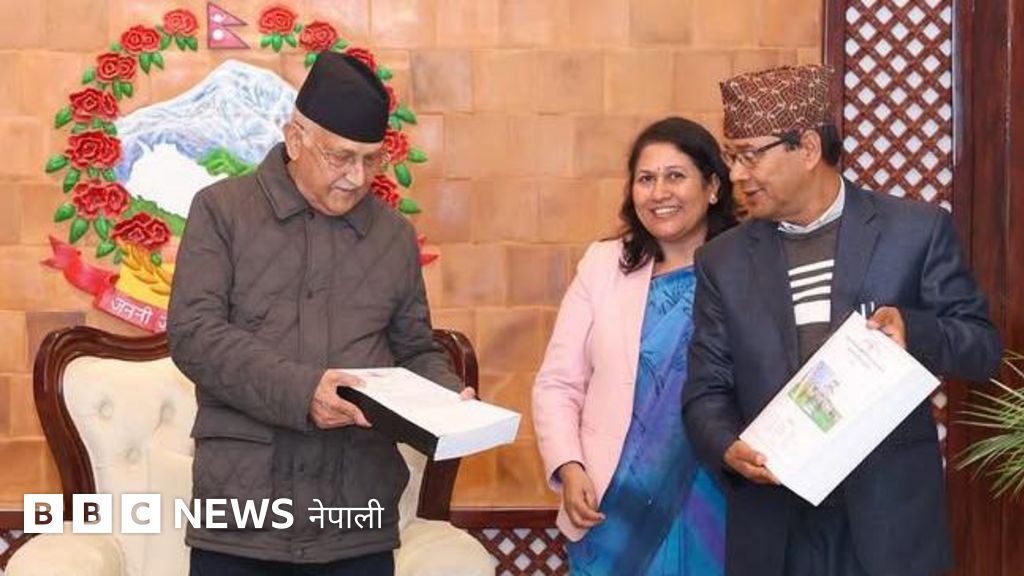 त्रिभुवन विश्वविद्यालयको जग्गा अतिक्रमण: कहाँकहाँ कब्जामा पर्‍यो, आयोगको सिफारिसमा के छ