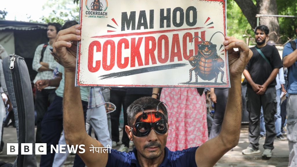 चीन र अमेरिकामा कक्रोच जनता पार्टीको प्रदर्शनबारे कस्ता समाच