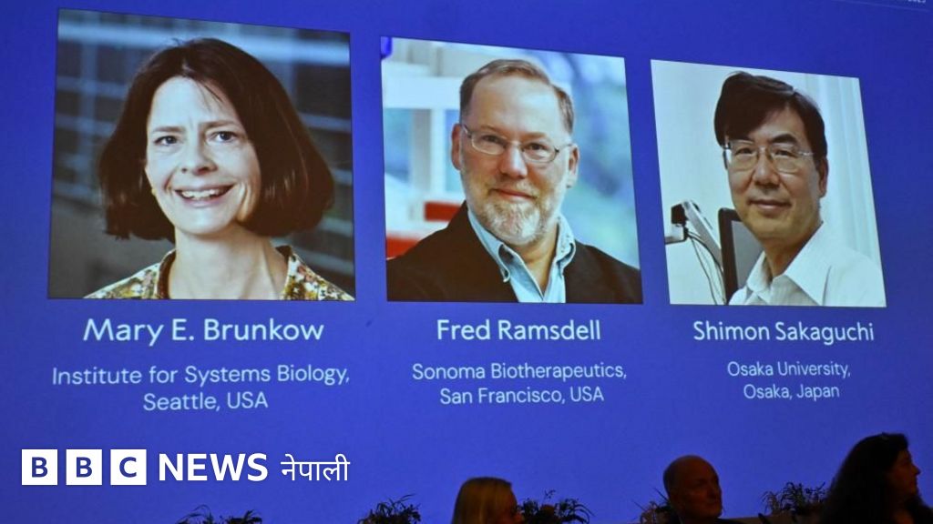 प्रतिरोध प्रणालीसम्बन्धी अनुसन्धान गर्ने तीन जनालाई चिकित्साशास्त्रतर्फको नोबेल पुरस्कार