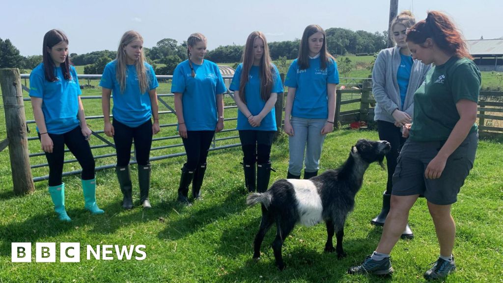 The camp trying to inspire young Scots to be vets