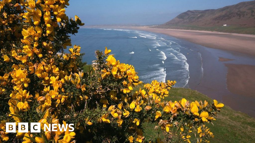 Call for 'sympathetic' greencoloured Gower caravans BBC News