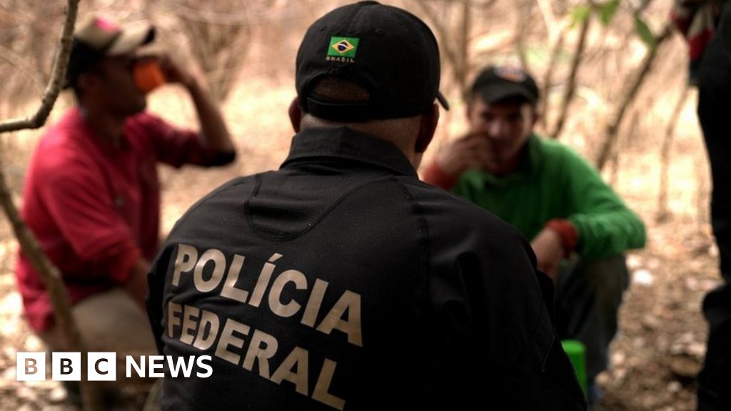 Бразилските земеделски работници, експлоатирани за събиране на ежедневна съставка