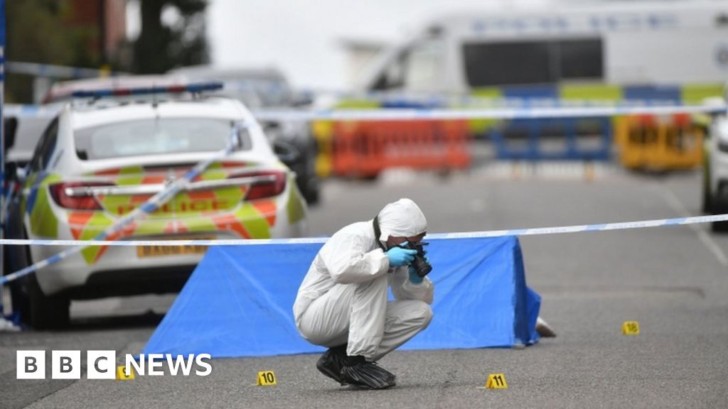 Birmingham stabbings: Terrorism decision 'may have saved lives'