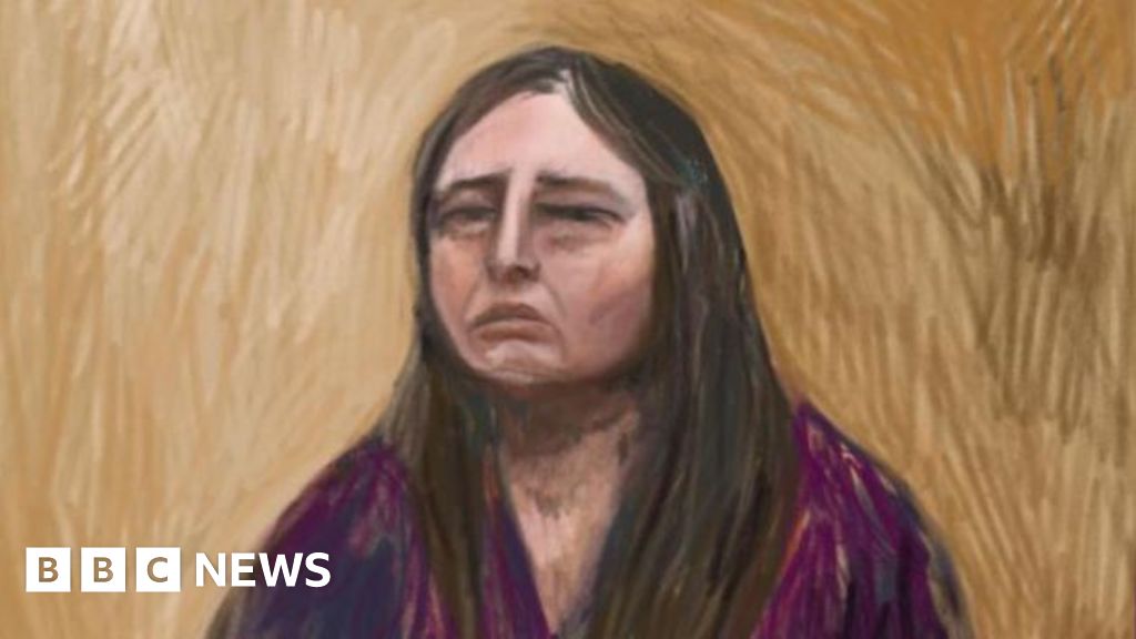 Australia mushroom trial: Erin Patterson says she made herself sick after meal