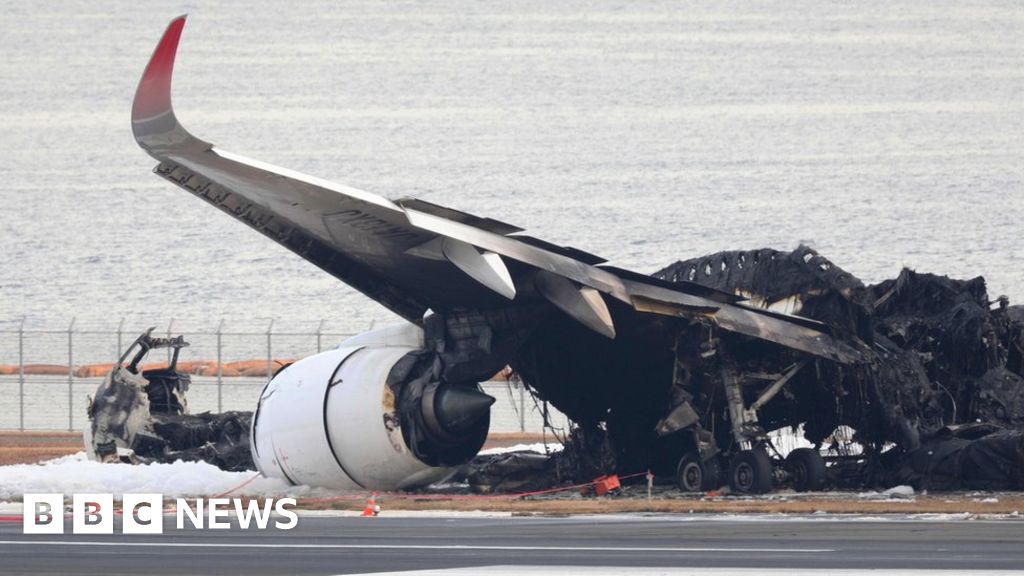 日本のジェット機の墜落：航空会社のパイロットは乗組員が知らせるまで機内火災を知りませんでした。
